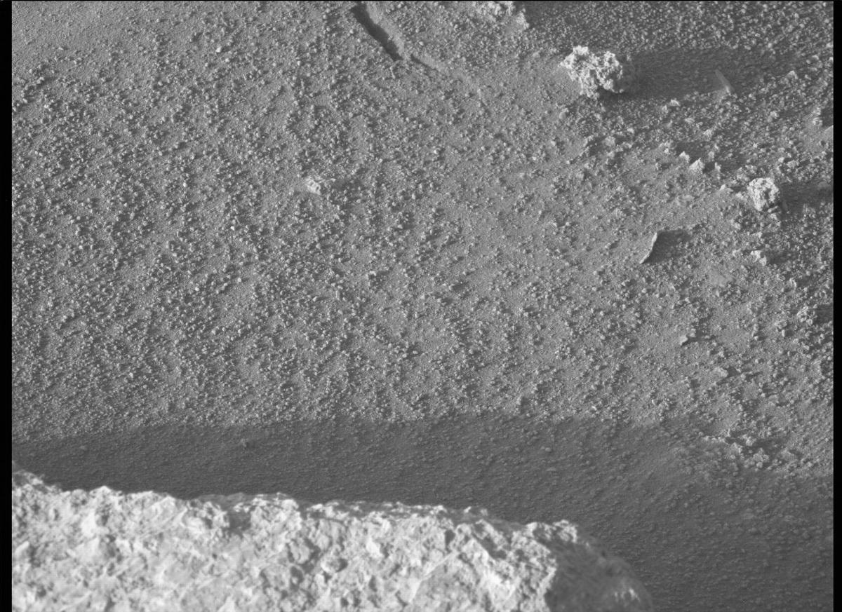 This image was taken by MCZ_LEFT onboard NASA's Mars rover Perseverance on Sol 335