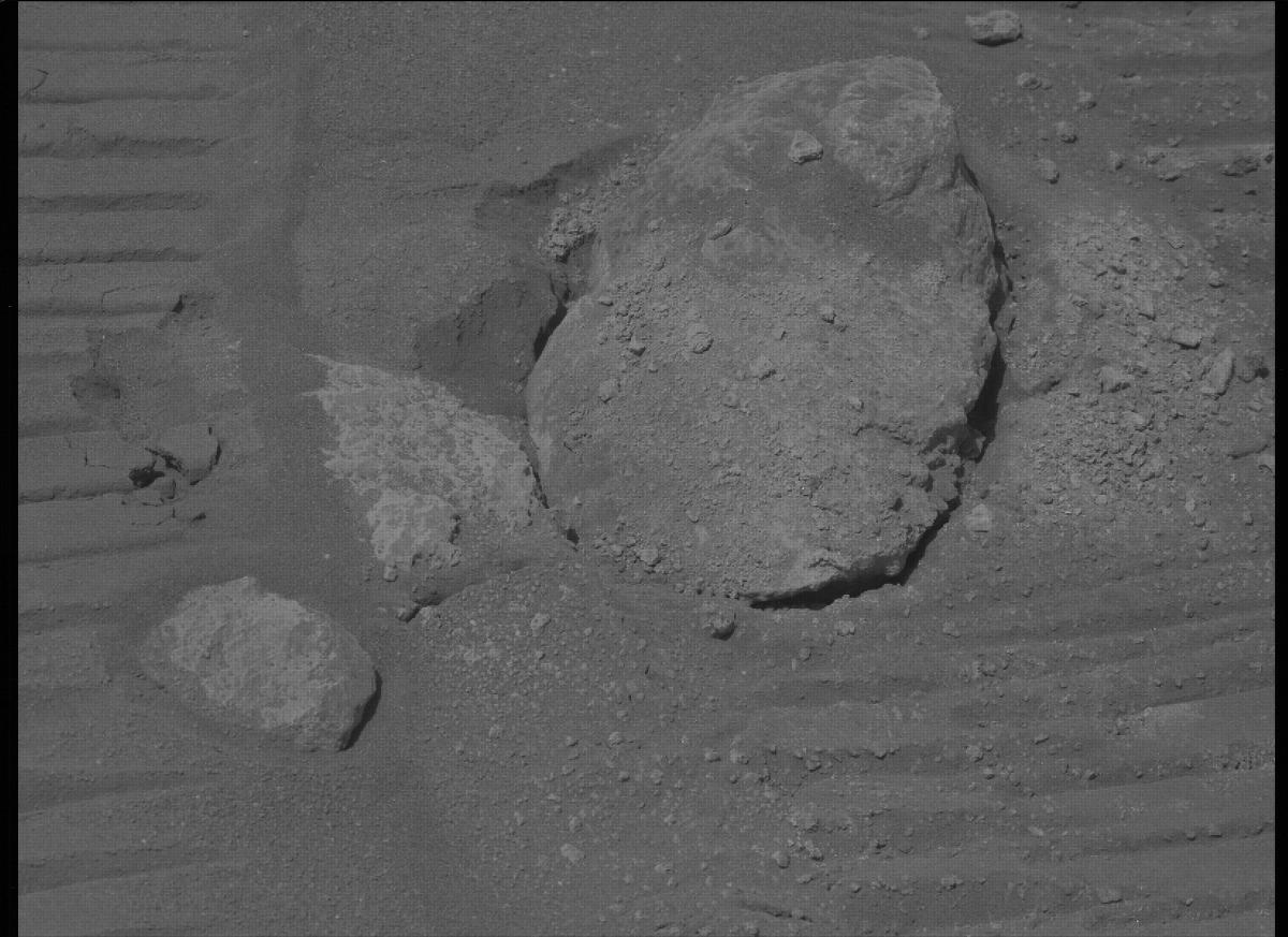 This image was taken by MCZ_LEFT onboard NASA's Mars rover Perseverance on Sol 335