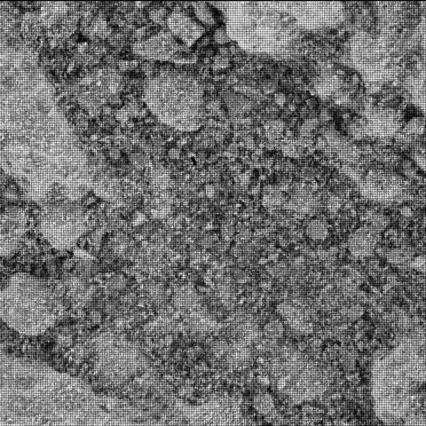 This image was taken by SHERLOC_WATSON onboard NASA's Mars rover Perseverance on Sol 337