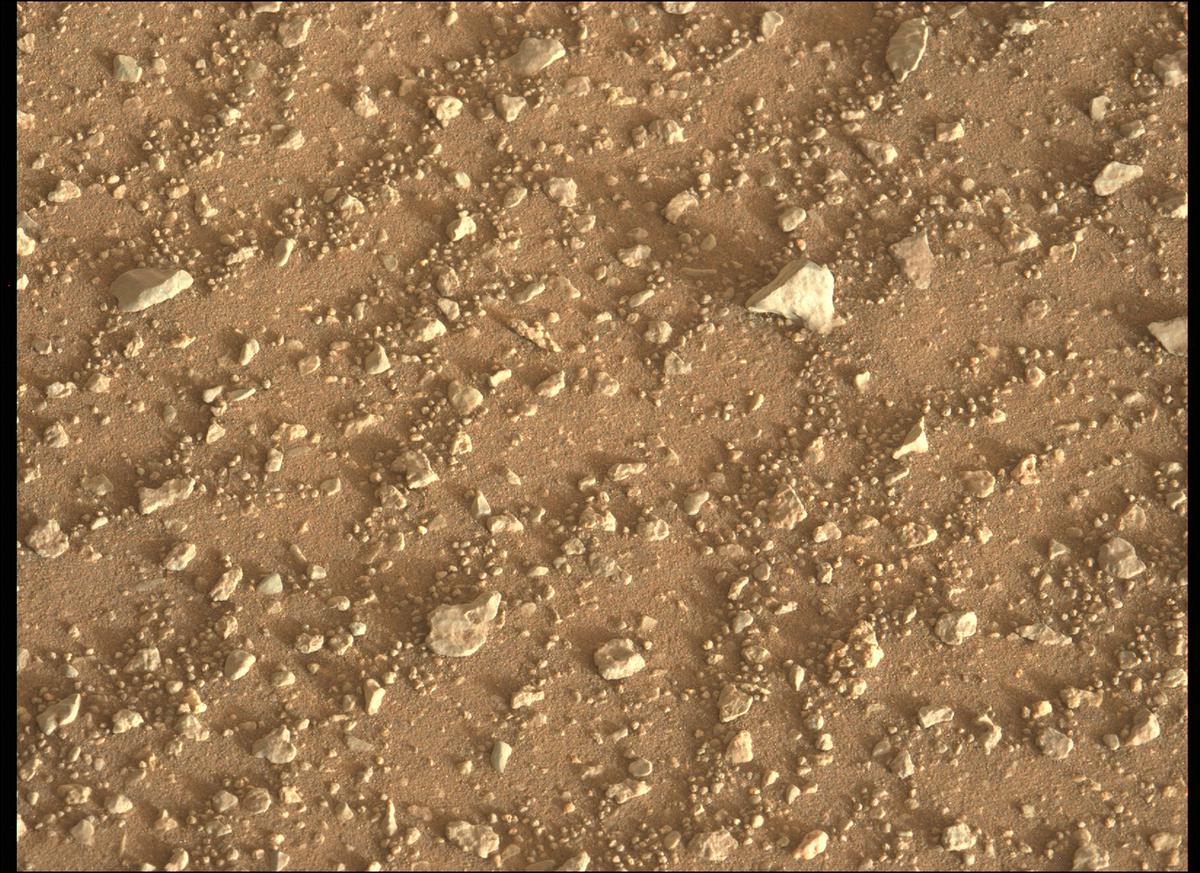 This image was taken by MCZ_LEFT onboard NASA's Mars rover Perseverance on Sol 340