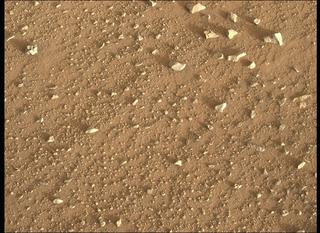 View image taken on Mars, Mars Perseverance Sol 340: Left Mastcam-Z Camera