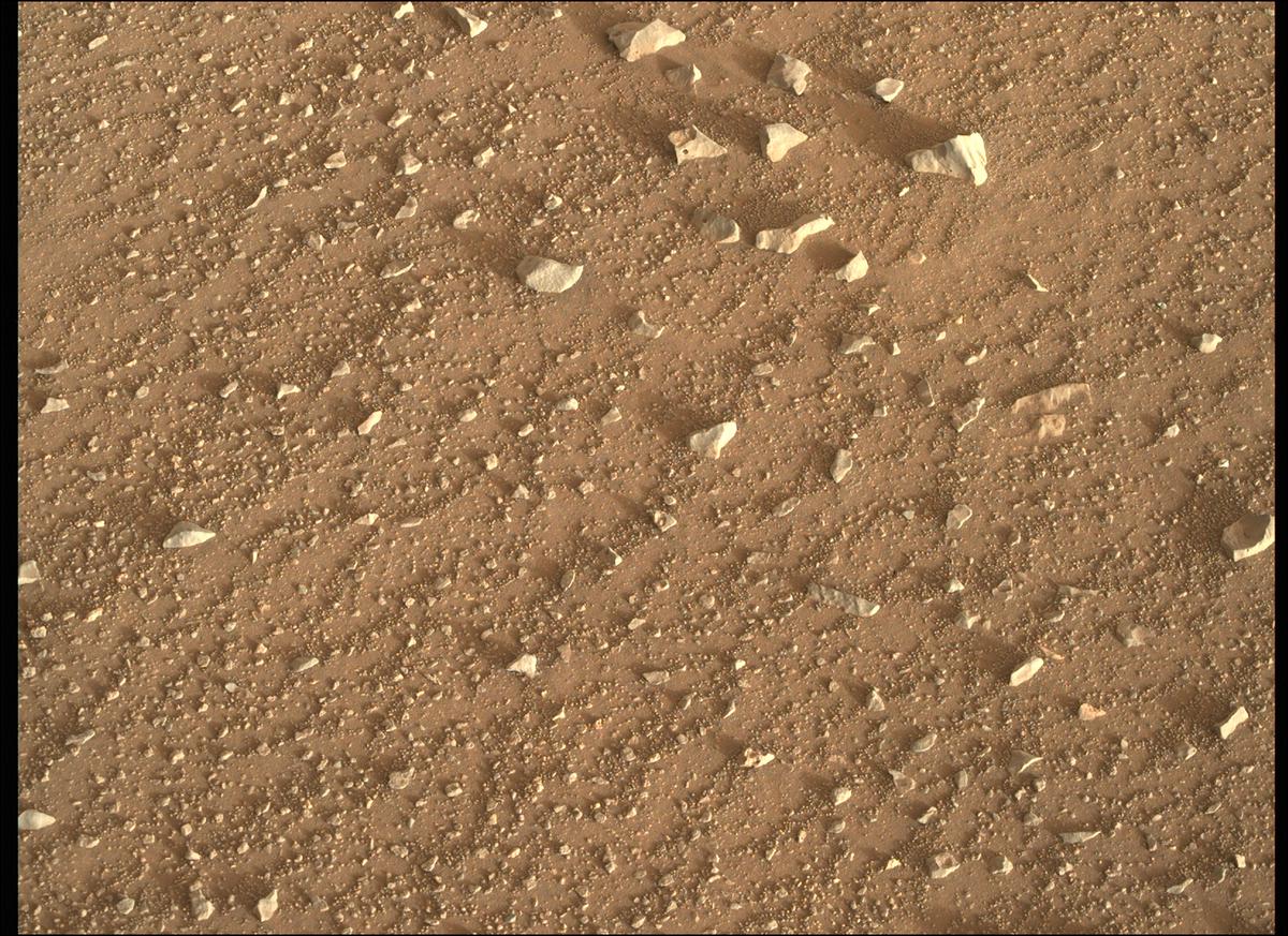 This image was taken by MCZ_RIGHT onboard NASA's Mars rover Perseverance on Sol 340
