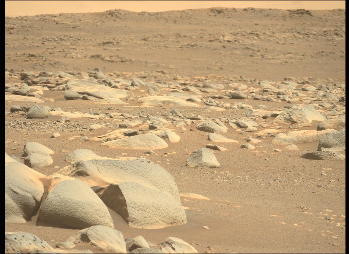 This image was taken by MCZ_LEFT onboard NASA's Mars rover Perseverance on Sol 341