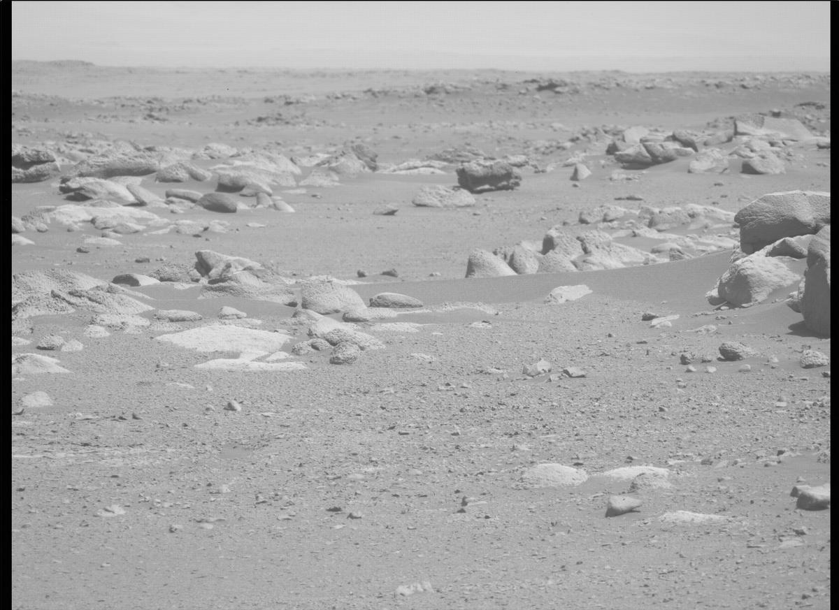 This image was taken by MCZ_LEFT onboard NASA's Mars rover Perseverance on Sol 341