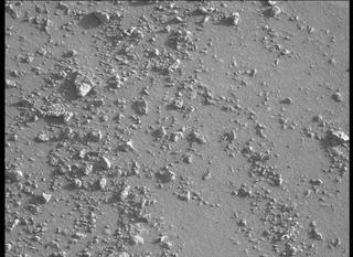 View image taken on Mars, Mars Perseverance Sol 342: Left Mastcam-Z Camera