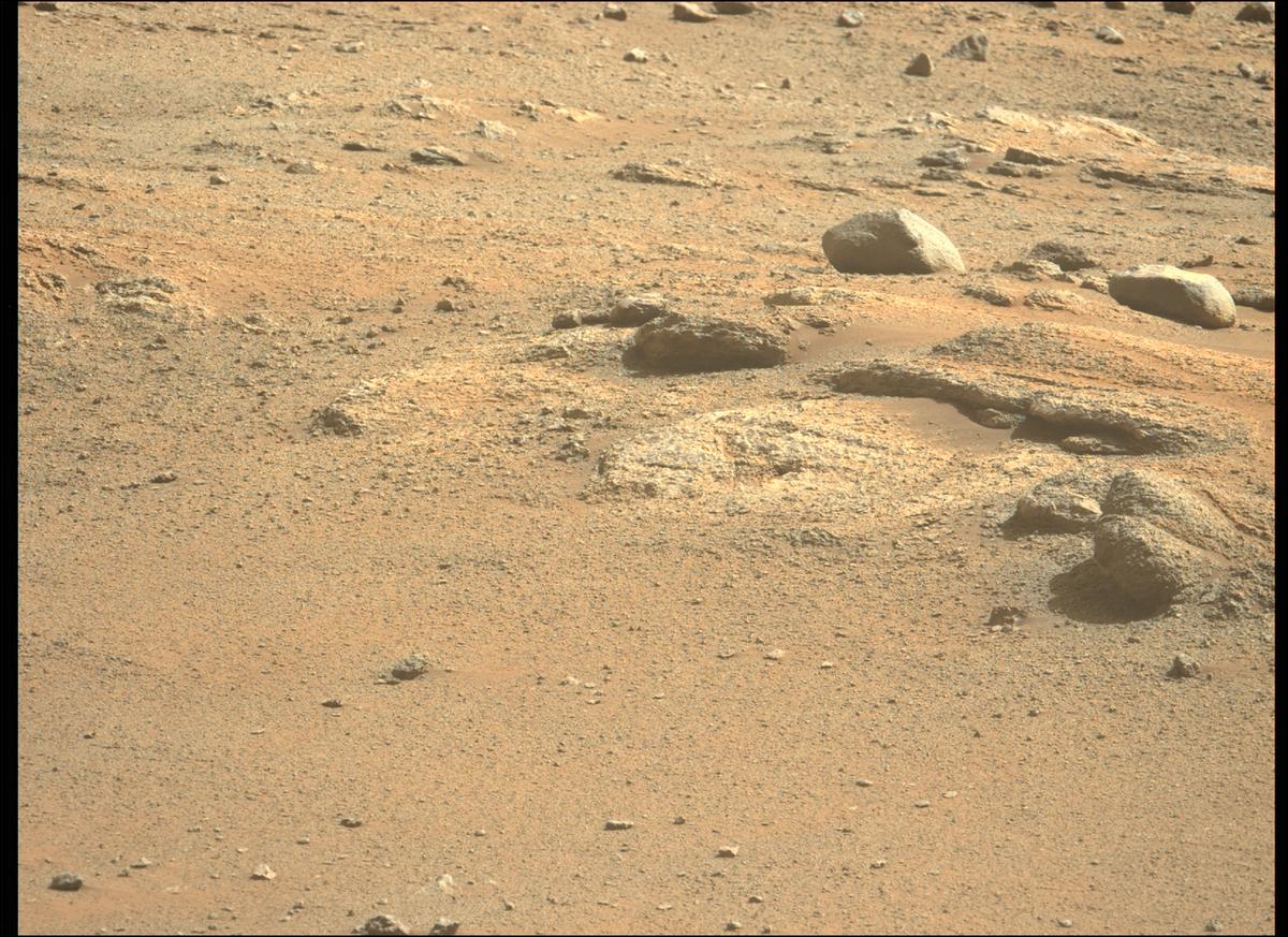 This image was taken by MCZ_LEFT onboard NASA's Mars rover Perseverance on Sol 343