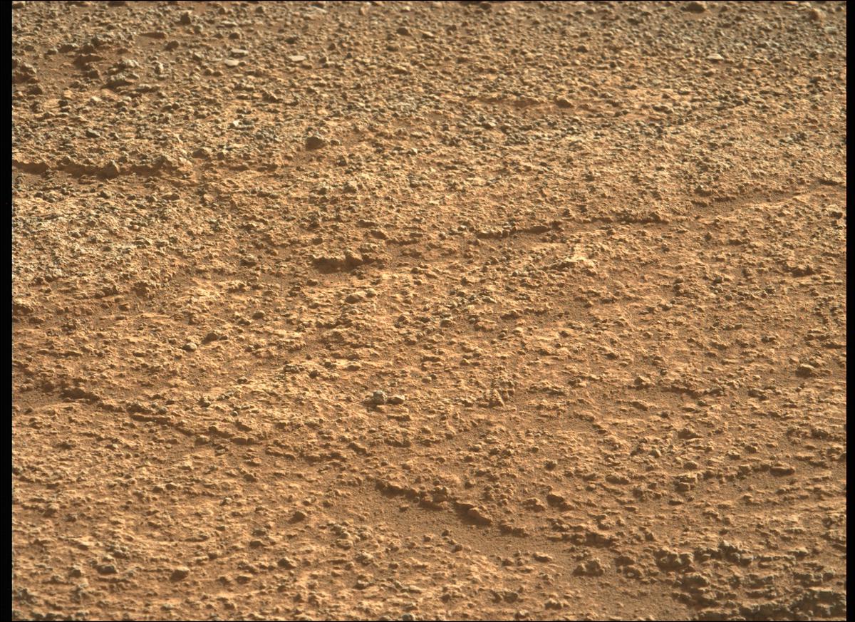 This image was taken by MCZ_LEFT onboard NASA's Mars rover Perseverance on Sol 343