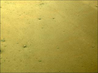 View image taken on Mars, Mars Perseverance Sol 344: Left Navigation Camera (Navcam)