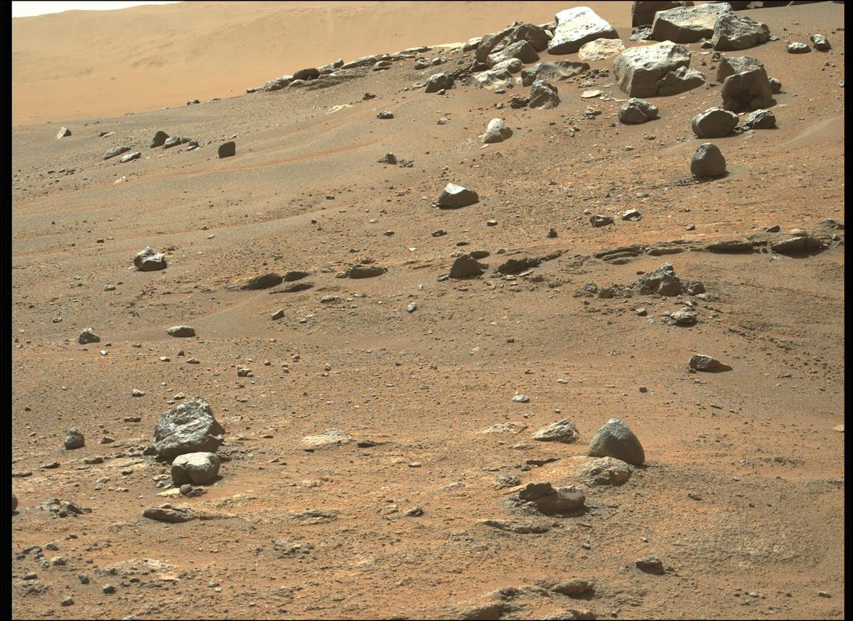 This image was taken by MCZ_LEFT onboard NASA's Mars rover Perseverance on Sol 344