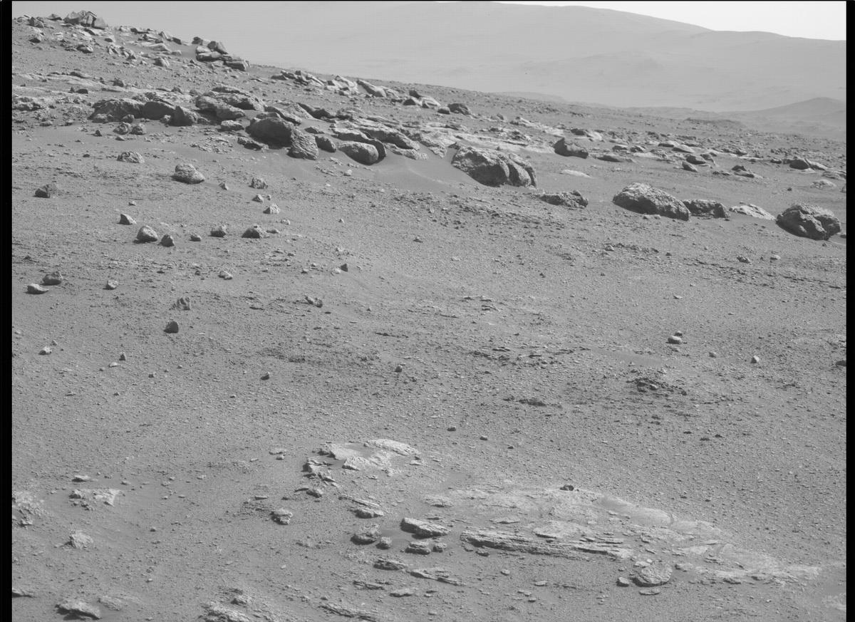 This image was taken by MCZ_LEFT onboard NASA's Mars rover Perseverance on Sol 344