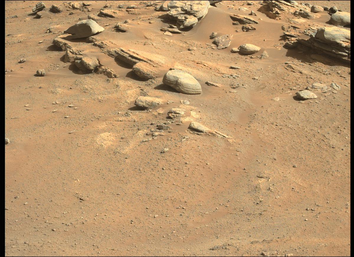 This image was taken by MCZ_LEFT onboard NASA's Mars rover Perseverance on Sol 344