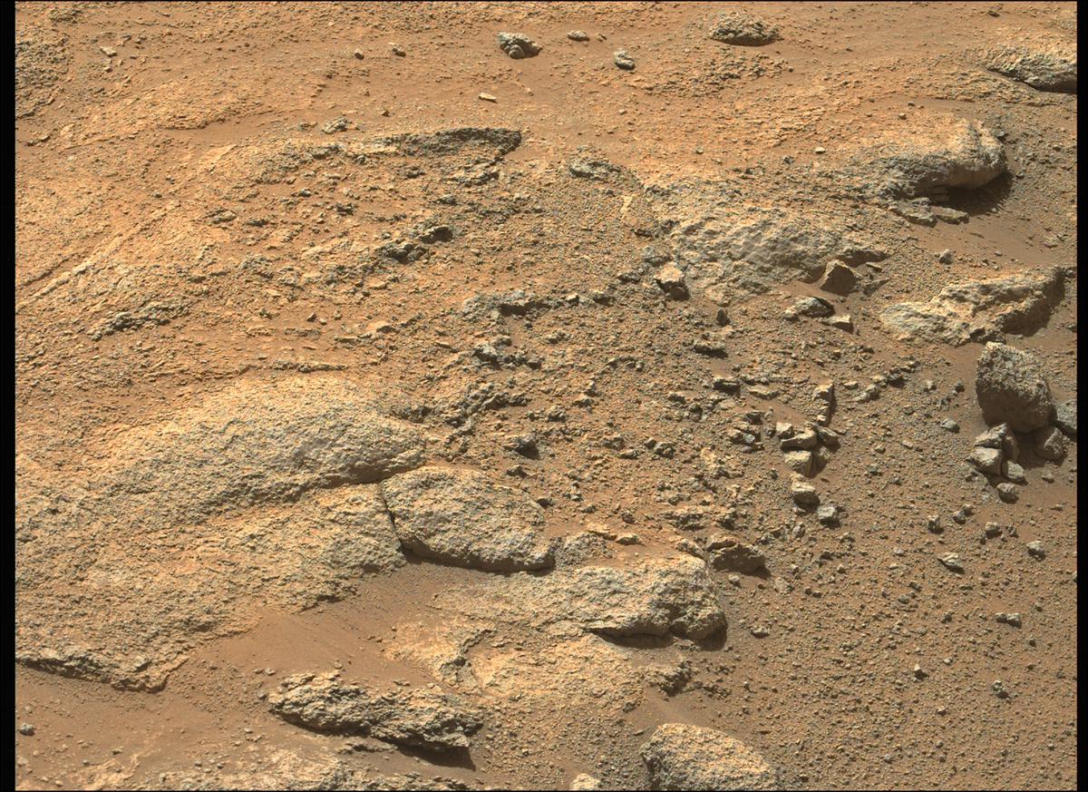 This image was taken by MCZ_LEFT onboard NASA's Mars rover Perseverance on Sol 344
