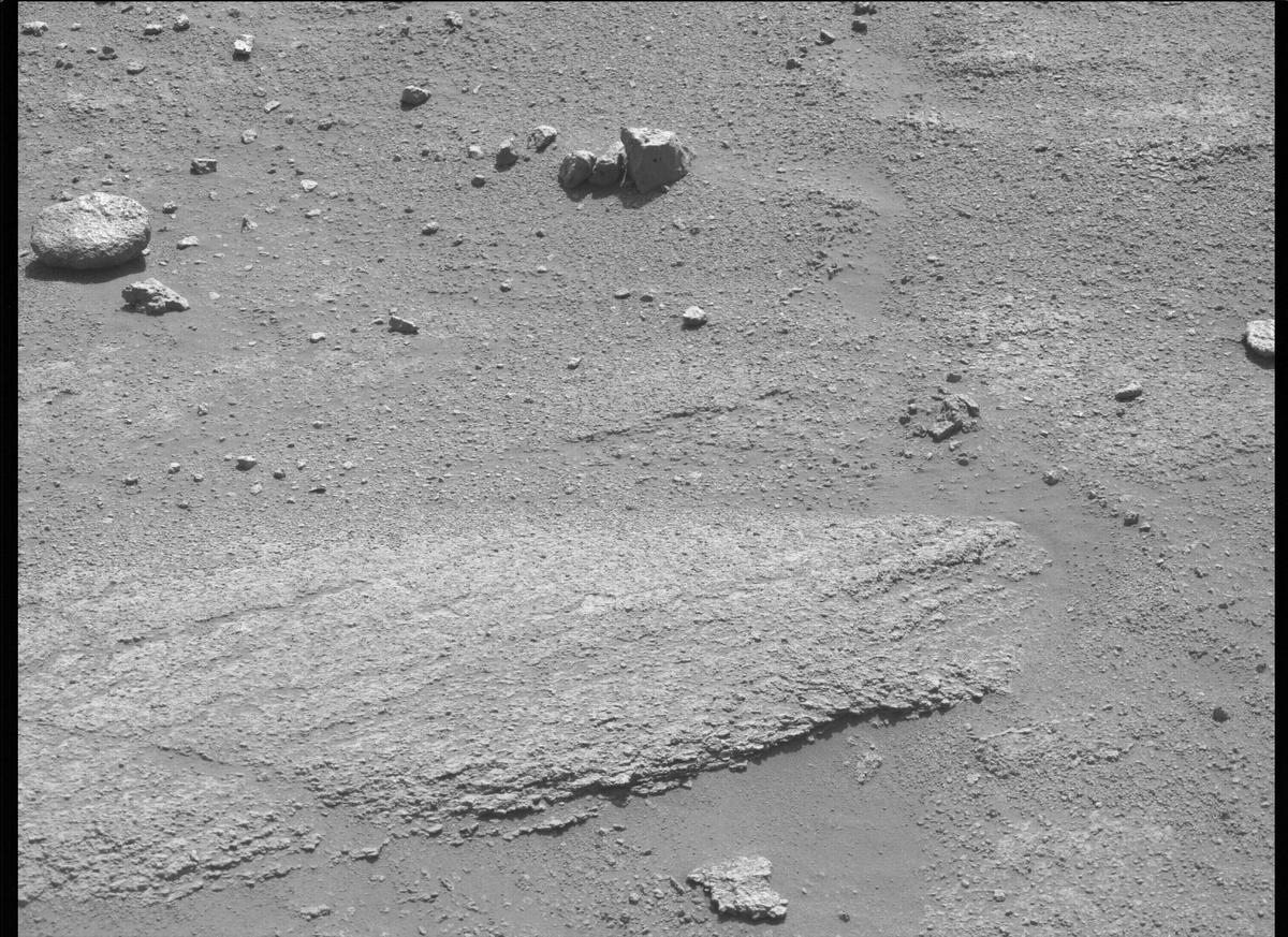 This image was taken by MCZ_LEFT onboard NASA's Mars rover Perseverance on Sol 344