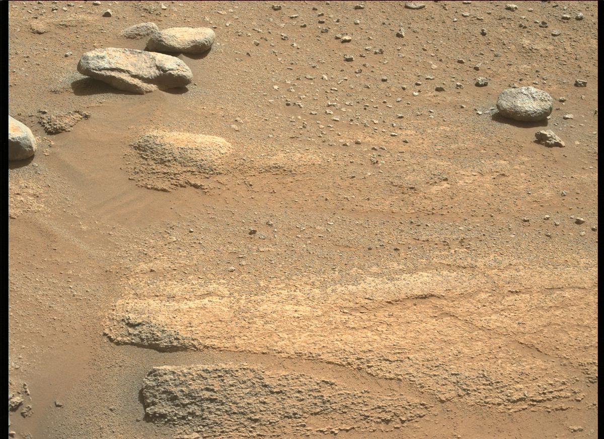 This image was taken by MCZ_LEFT onboard NASA's Mars rover Perseverance on Sol 344