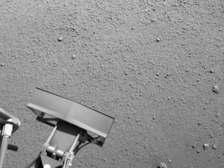 View image taken on Mars, Mars Perseverance Sol 346: Right Navigation Camera (Navcam)