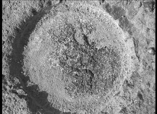 View image taken on Mars, Mars Perseverance Sol 346: WATSON Camera 