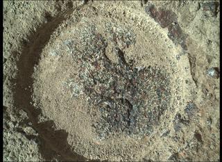 View image taken on Mars, Mars Perseverance Sol 346: WATSON Camera 