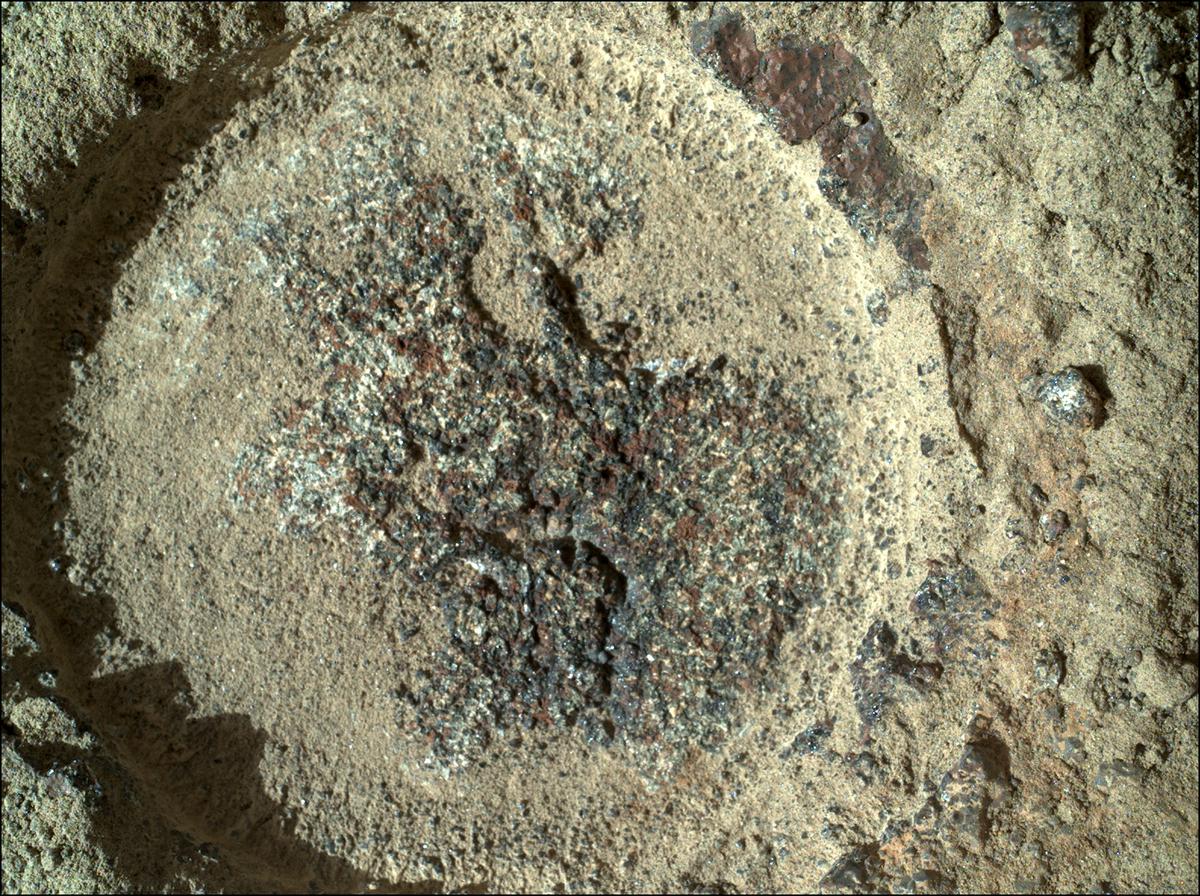 This image was taken by SHERLOC_WATSON onboard NASA's Mars rover Perseverance on Sol 346