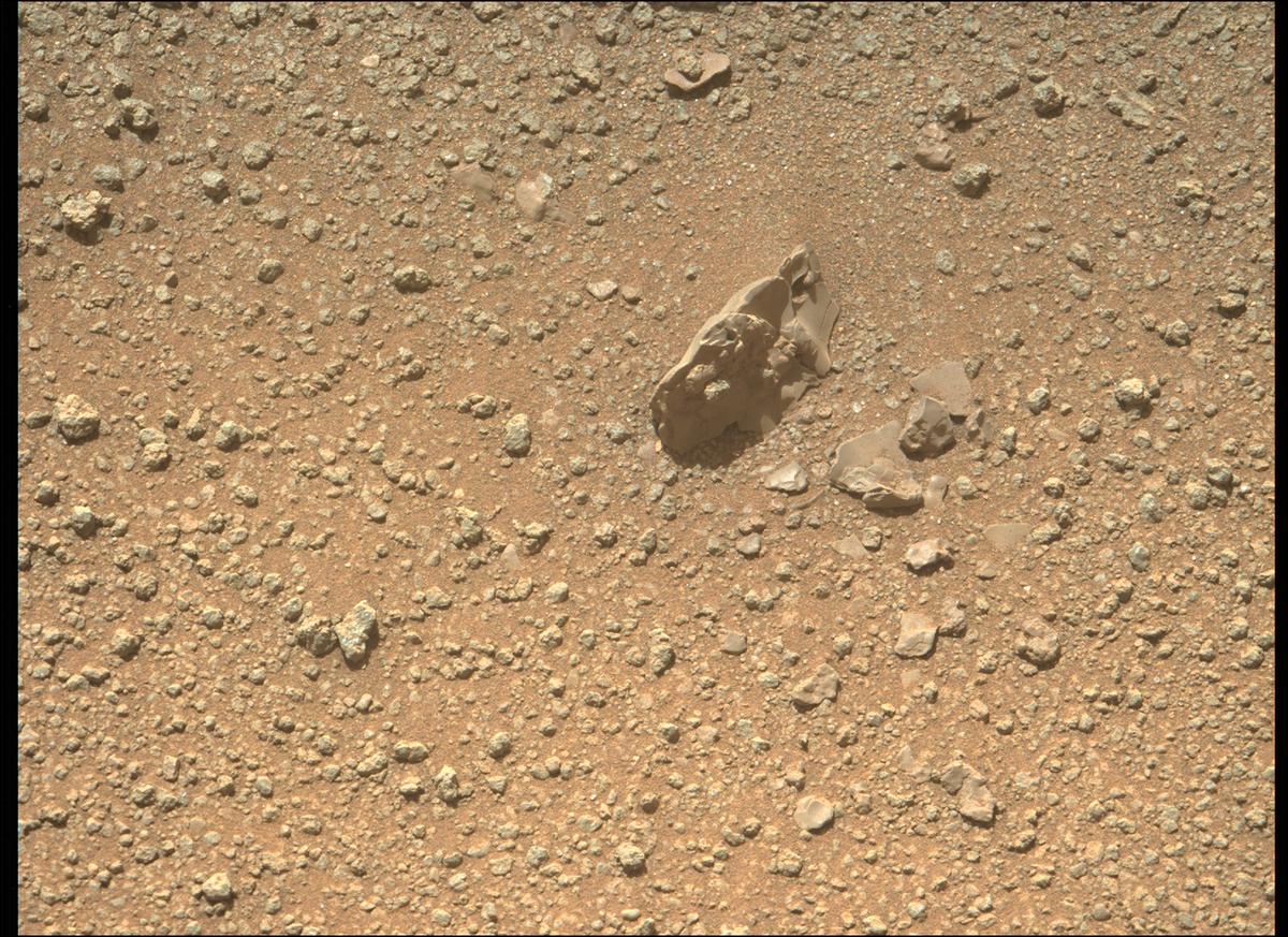 This image was taken by MCZ_LEFT onboard NASA's Mars rover Perseverance on Sol 346