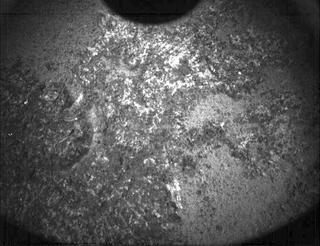 View image taken on Mars, Mars Perseverance Sol 347: PIXL Camera 