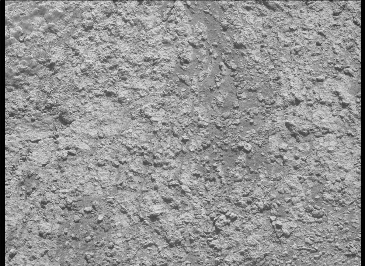 This image was taken by MCZ_LEFT onboard NASA's Mars rover Perseverance on Sol 347