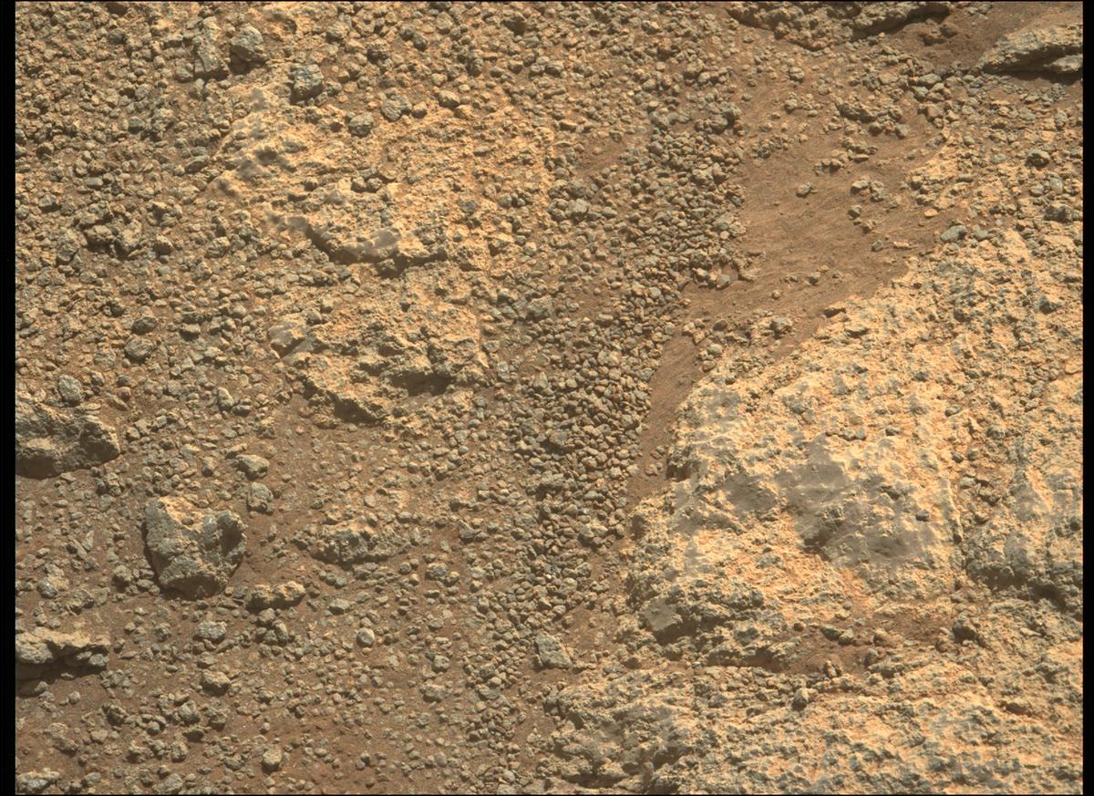 This image was taken by MCZ_LEFT onboard NASA's Mars rover Perseverance on Sol 347