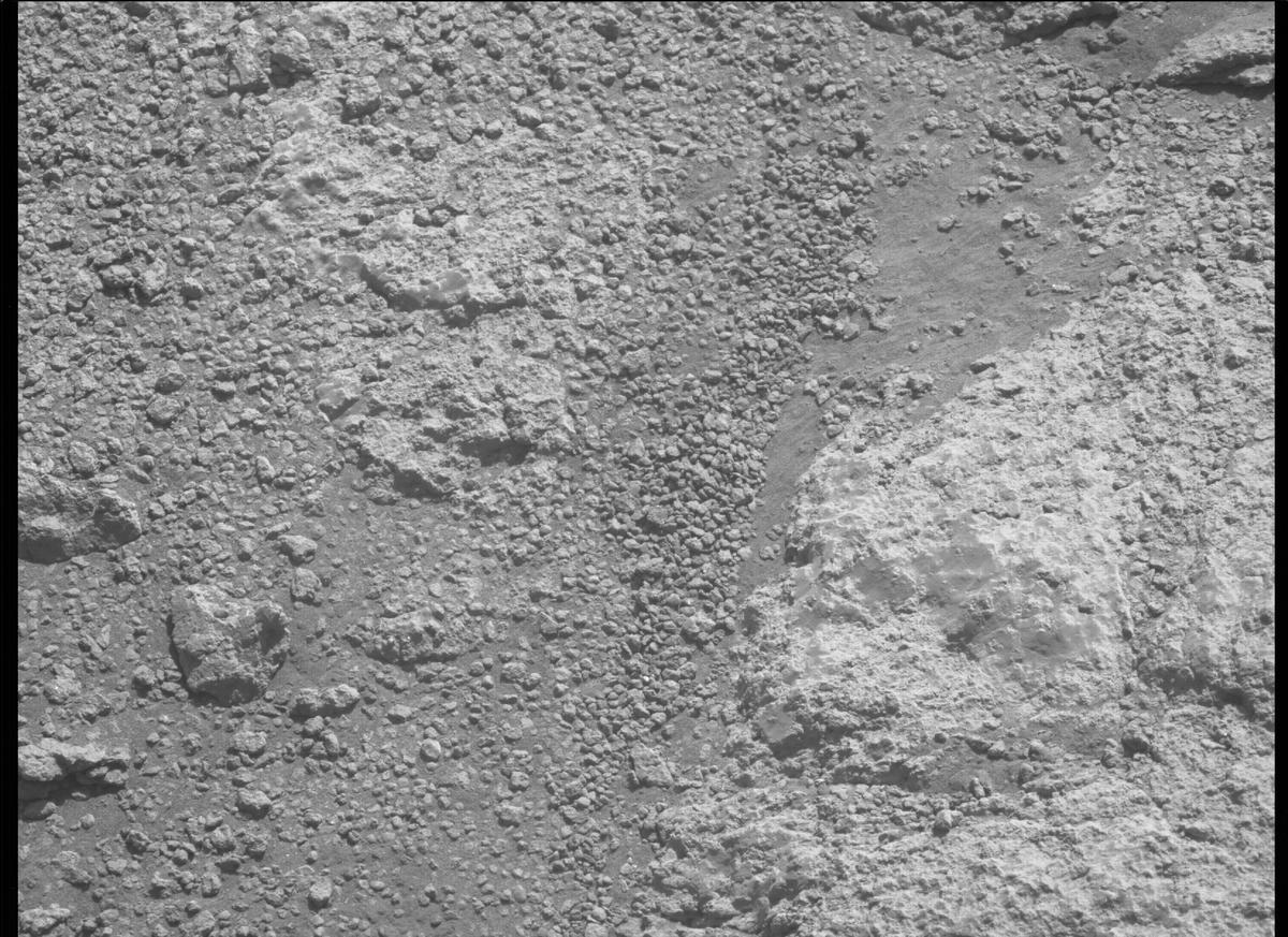 This image was taken by MCZ_LEFT onboard NASA's Mars rover Perseverance on Sol 347