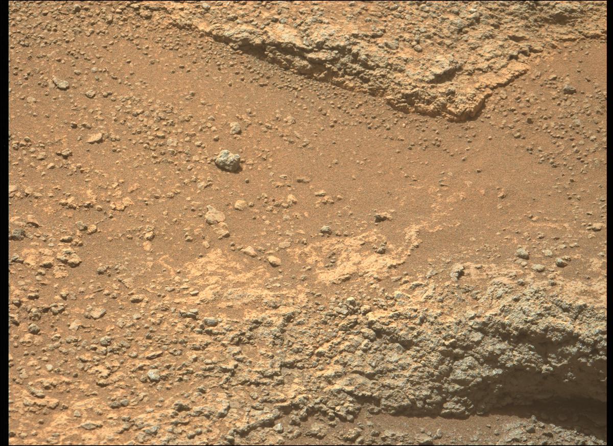 This image was taken by MCZ_LEFT onboard NASA's Mars rover Perseverance on Sol 347