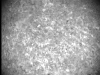 View image taken on Mars, Mars Perseverance Sol 349: SHERLOC ACI Camera 