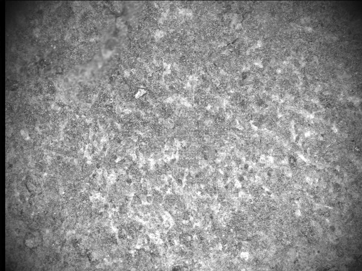 This image was taken by SHERLOC_ACI onboard NASA's Mars rover Perseverance on Sol 349