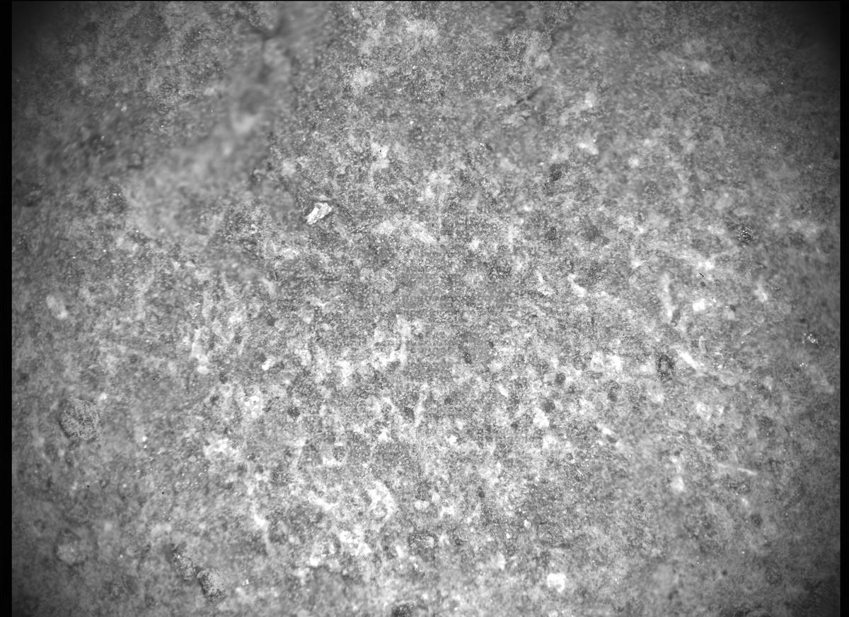 This image was taken by SHERLOC_ACI onboard NASA's Mars rover Perseverance on Sol 349