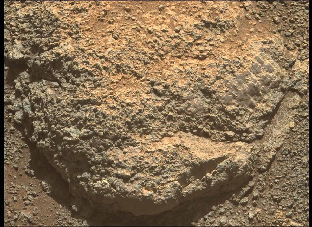 This image was taken by MCZ_LEFT onboard NASA's Mars rover Perseverance on Sol 349