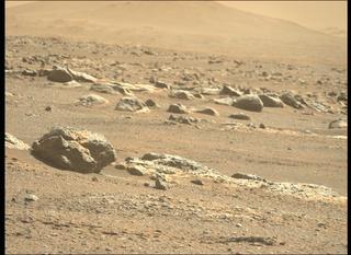View image taken on Mars, Mars Perseverance Sol 349: Left Mastcam-Z Camera