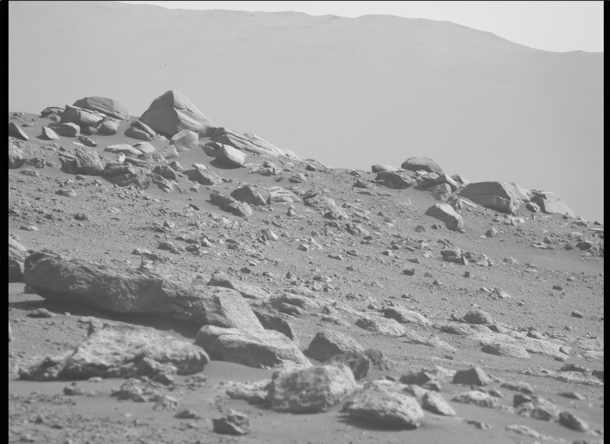 This image was taken by MCZ_LEFT onboard NASA's Mars rover Perseverance on Sol 349