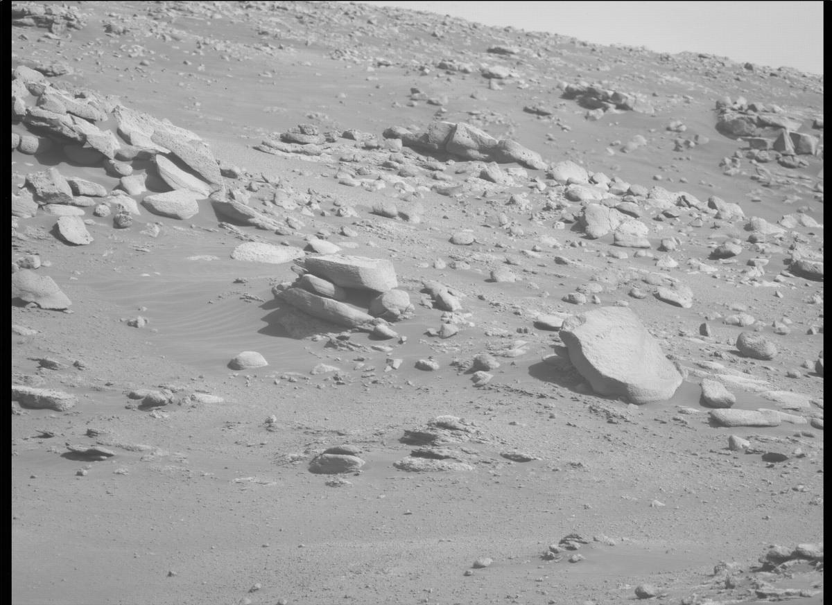 This image was taken by MCZ_LEFT onboard NASA's Mars rover Perseverance on Sol 349