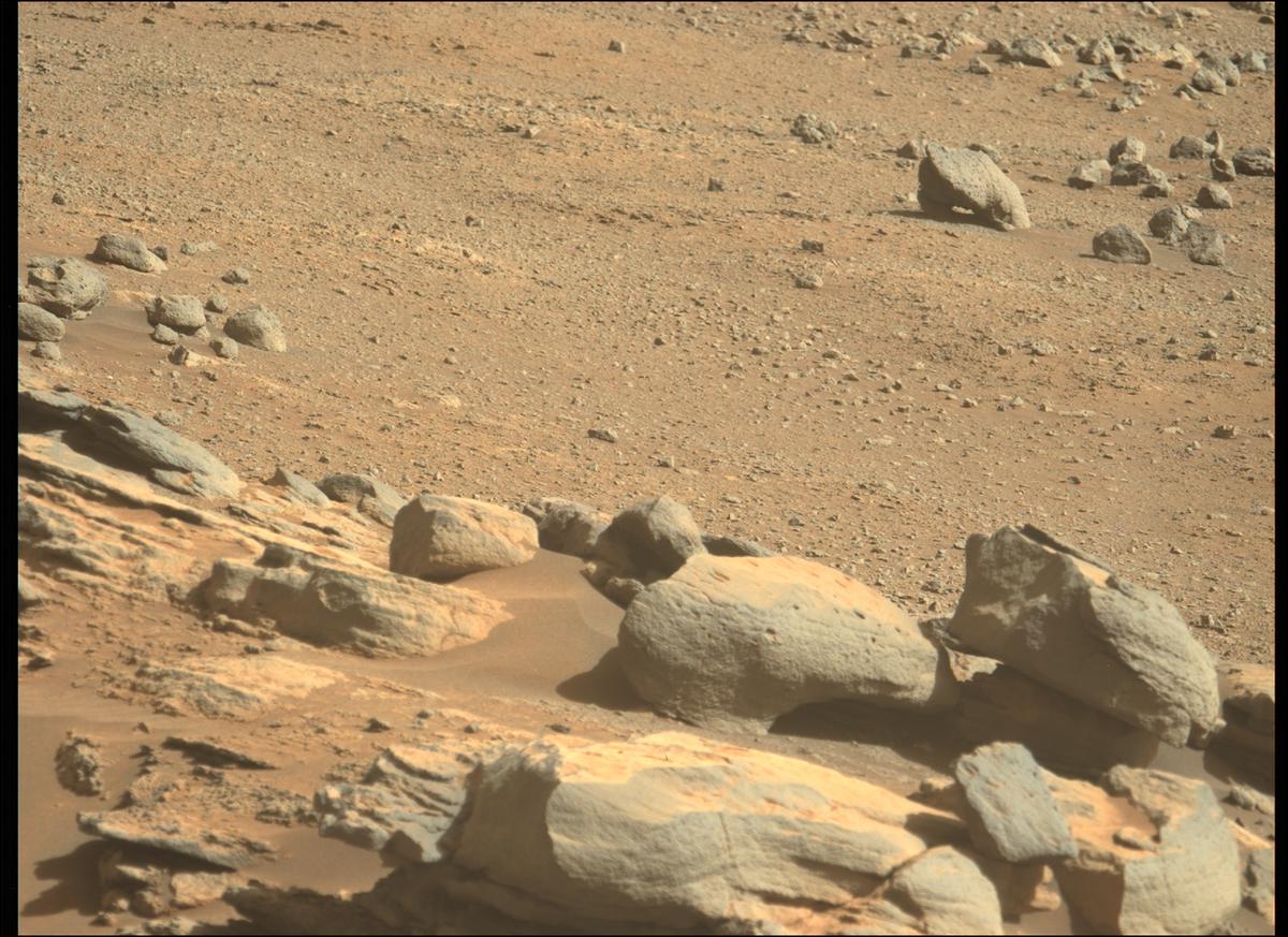 This image was taken by MCZ_LEFT onboard NASA's Mars rover Perseverance on Sol 349