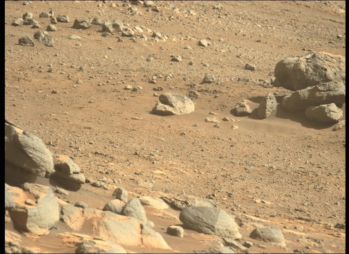 This image was taken by MCZ_LEFT onboard NASA's Mars rover Perseverance on Sol 349