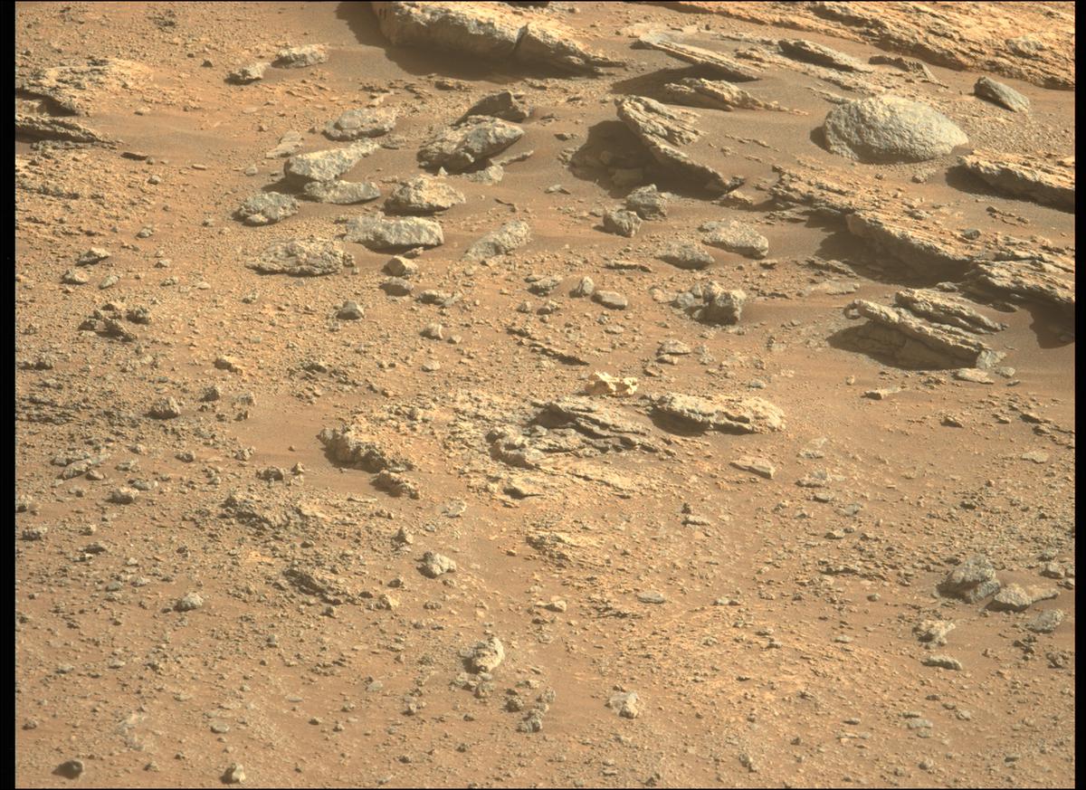 This image was taken by MCZ_LEFT onboard NASA's Mars rover Perseverance on Sol 349