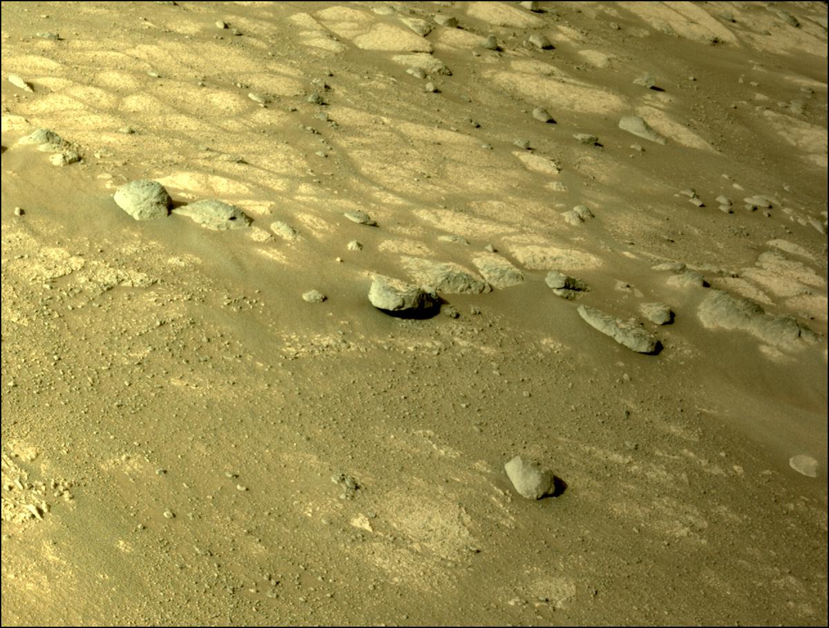 This image was taken by NAVCAM_LEFT onboard NASA's Mars rover Perseverance on Sol 351