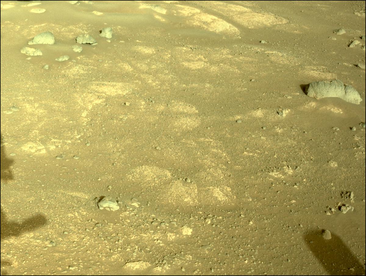 This image was taken by NAVCAM_LEFT onboard NASA's Mars rover Perseverance on Sol 351