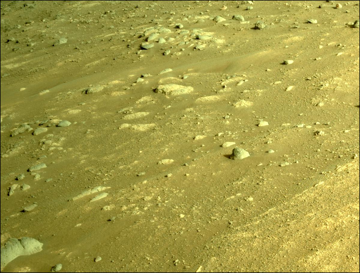This image was taken by NAVCAM_LEFT onboard NASA's Mars rover Perseverance on Sol 351