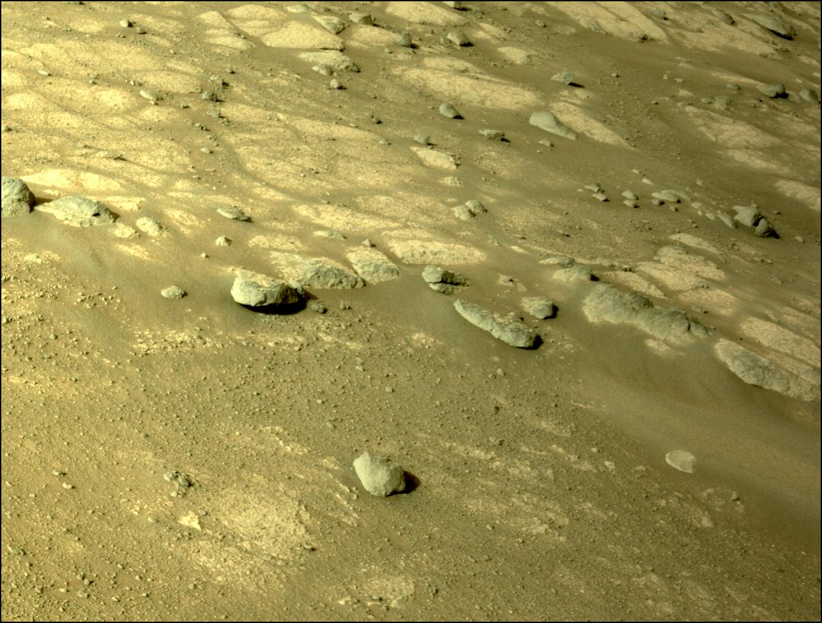 This image was taken by NAVCAM_RIGHT onboard NASA's Mars rover Perseverance on Sol 351