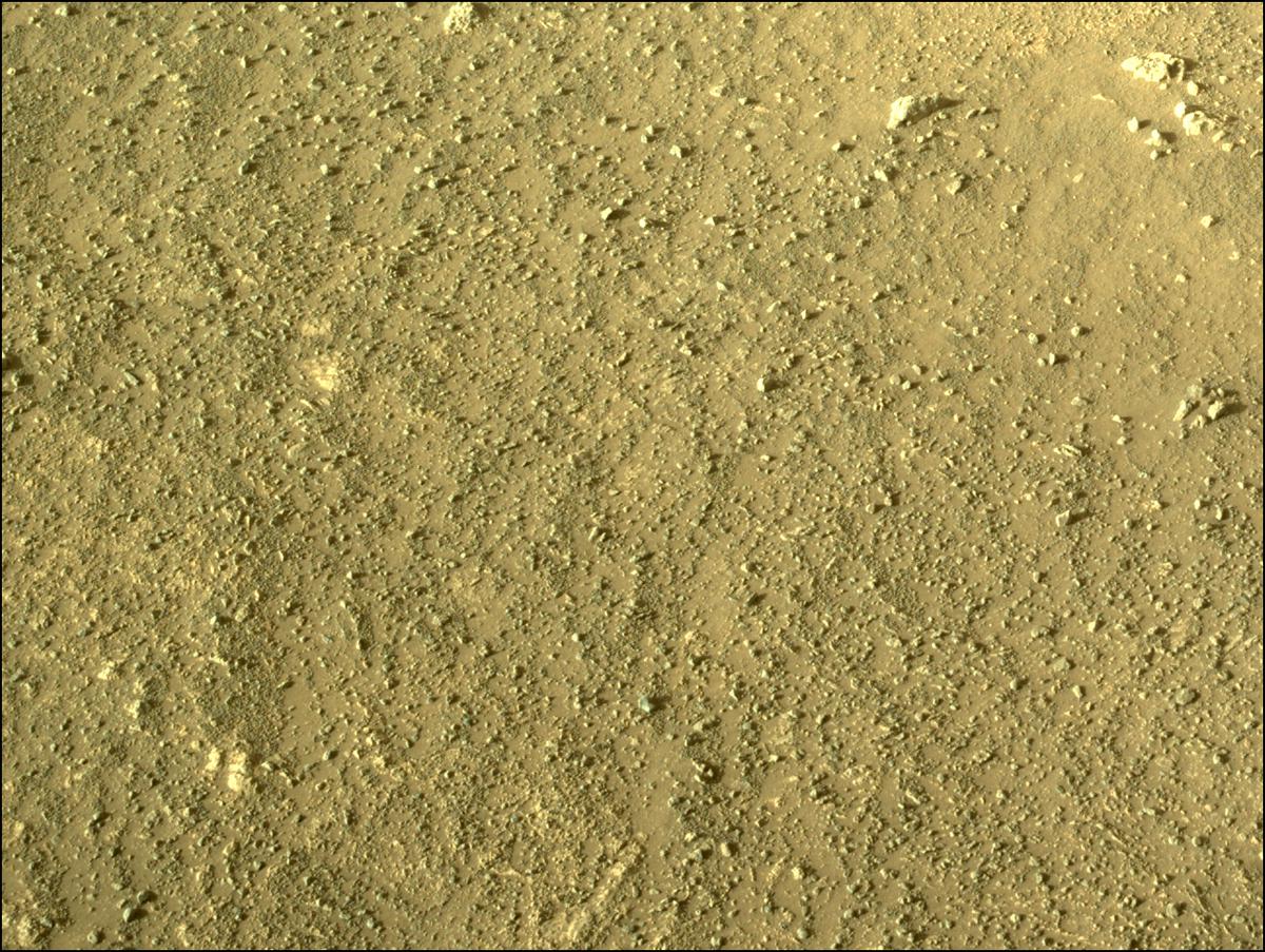 This image was taken by NAVCAM_RIGHT onboard NASA's Mars rover Perseverance on Sol 351