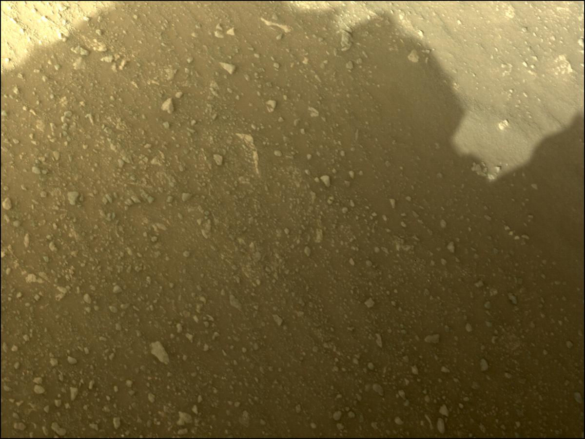 This image was taken by NAVCAM_RIGHT onboard NASA's Mars rover Perseverance on Sol 351
