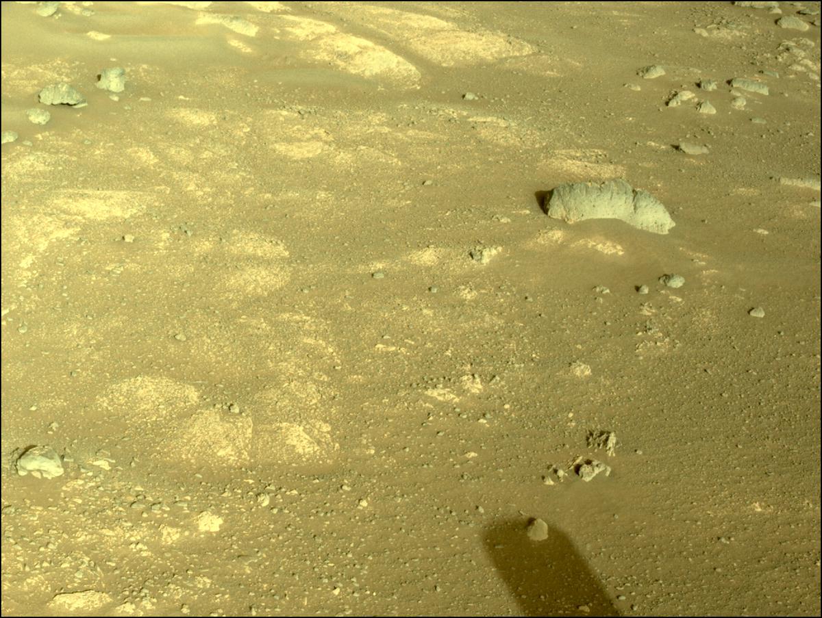 This image was taken by NAVCAM_RIGHT onboard NASA's Mars rover Perseverance on Sol 351