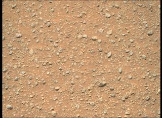 View image taken on Mars, Mars Perseverance Sol 351: Right Mastcam-Z Camera
