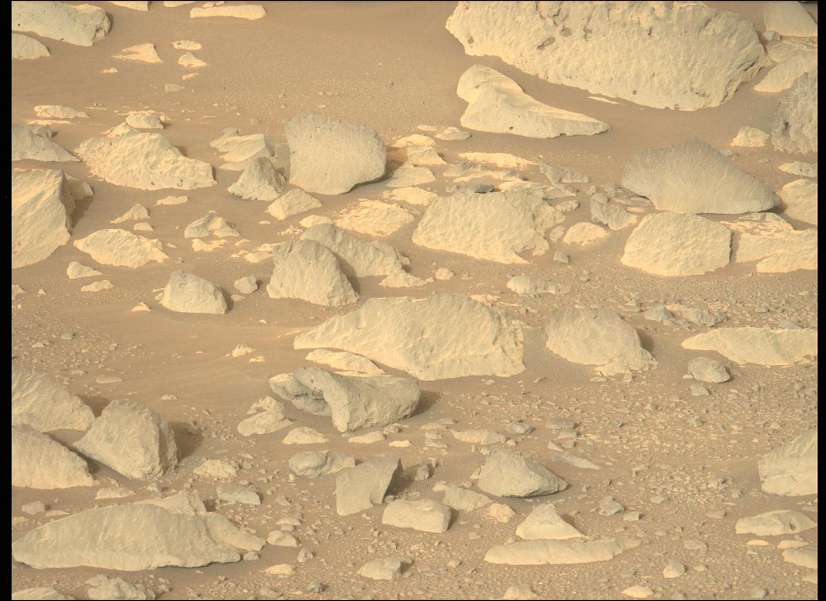 This image was taken by MCZ_LEFT onboard NASA's Mars rover Perseverance on Sol 353