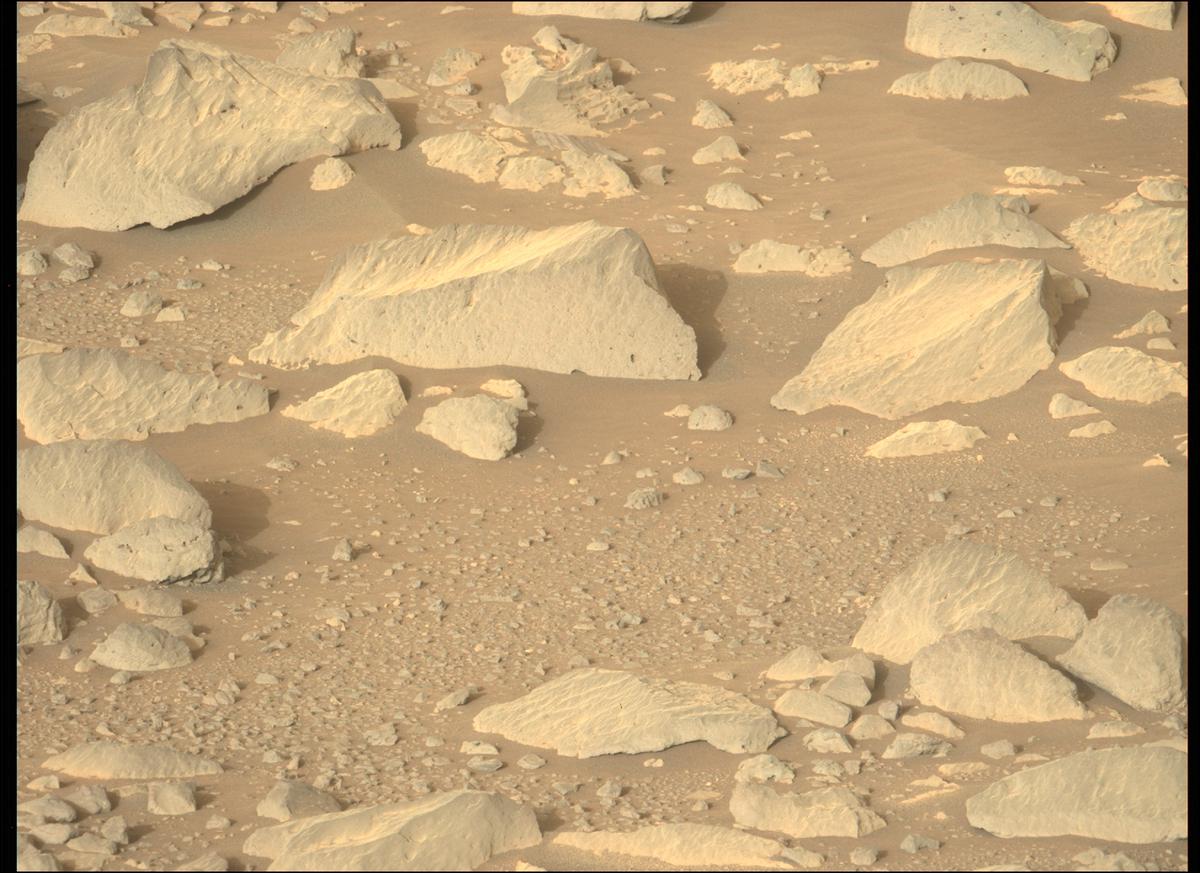 This image was taken by MCZ_LEFT onboard NASA's Mars rover Perseverance on Sol 353