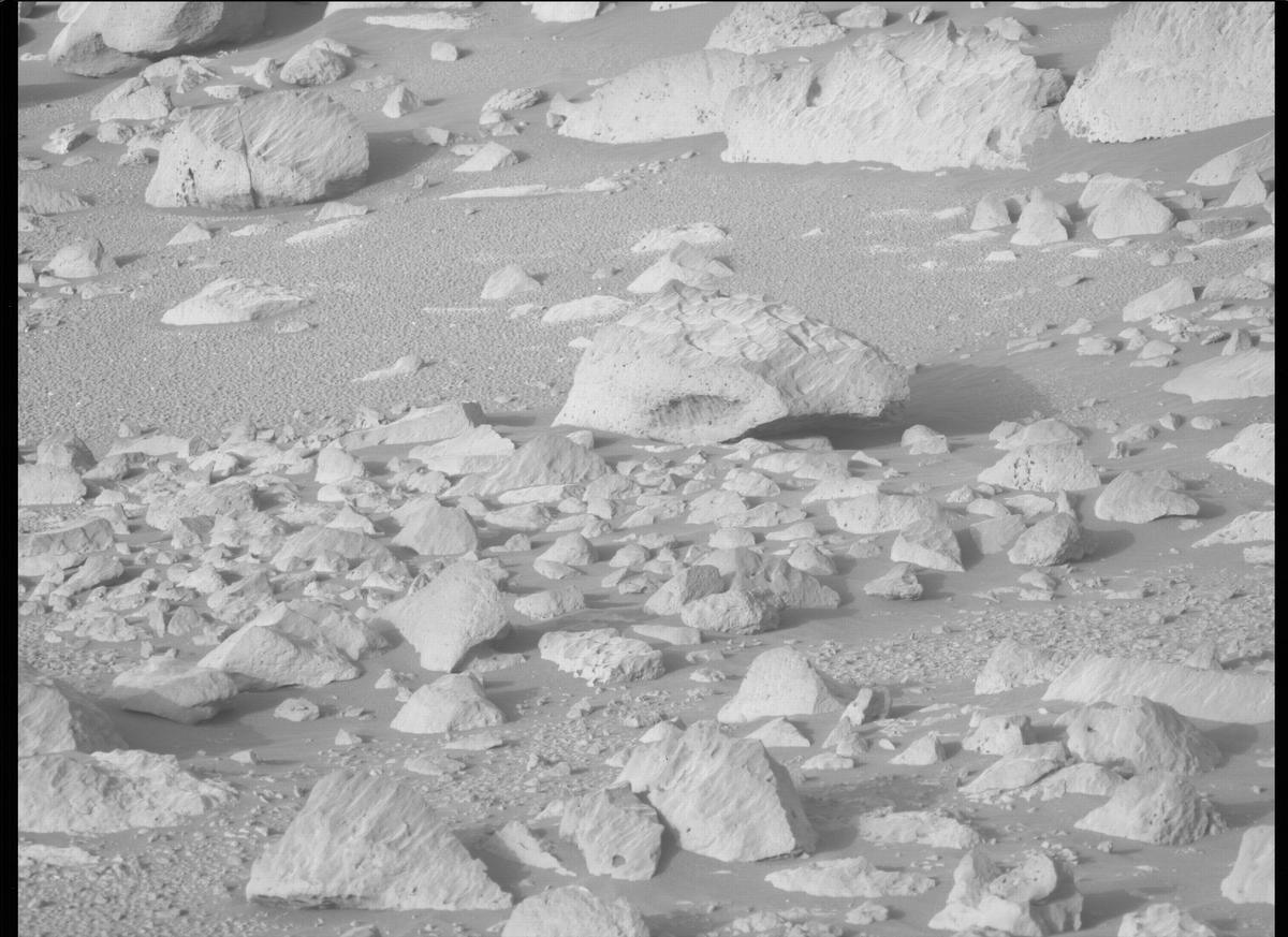 This image was taken by MCZ_LEFT onboard NASA's Mars rover Perseverance on Sol 353