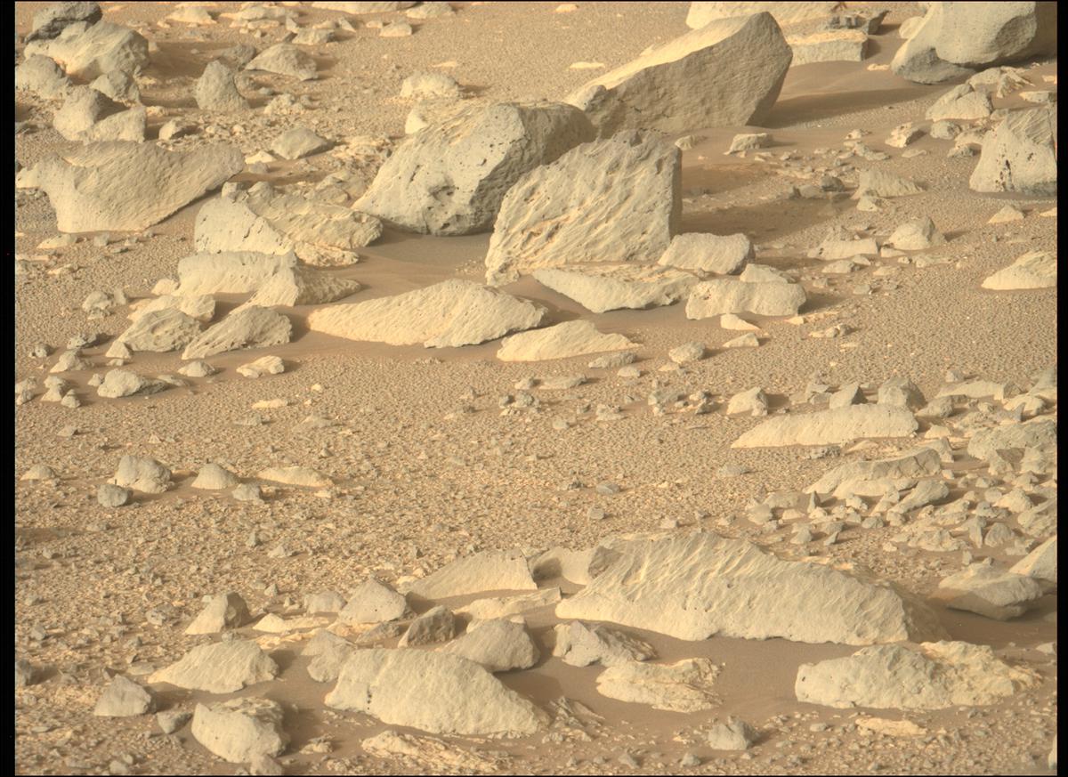 This image was taken by MCZ_LEFT onboard NASA's Mars rover Perseverance on Sol 353